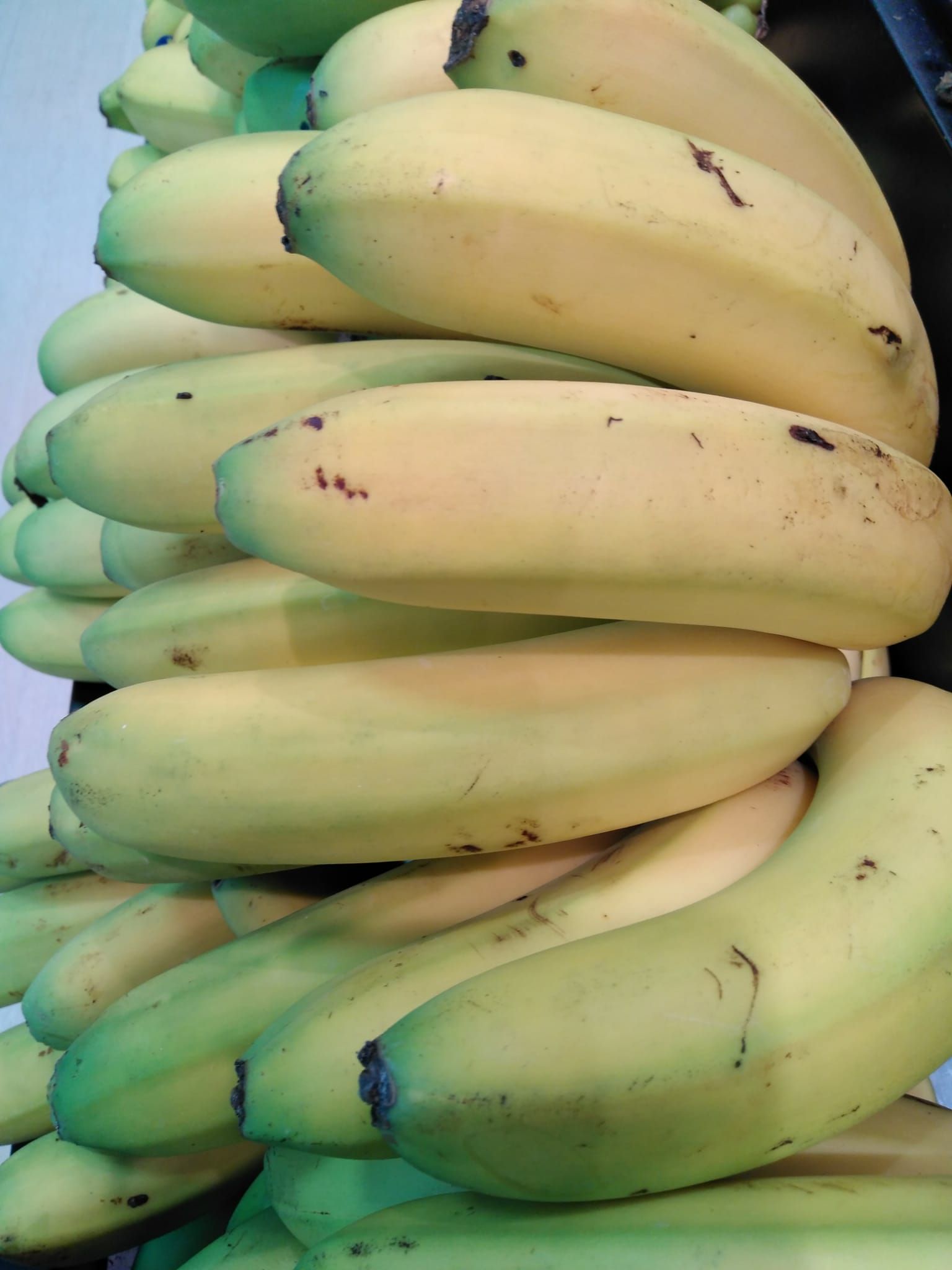 Plátano Plátano