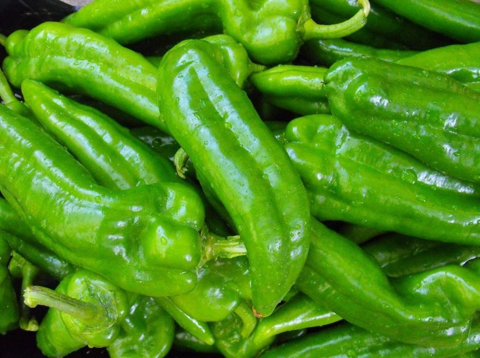 Pimientos italianos Pimientos italianos
