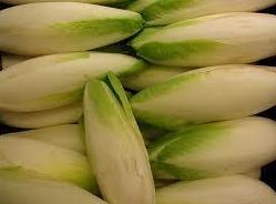 Endivias: Catálogo de FRUTAS PAULA Endivias: Catálogo de FRUTAS PAULA