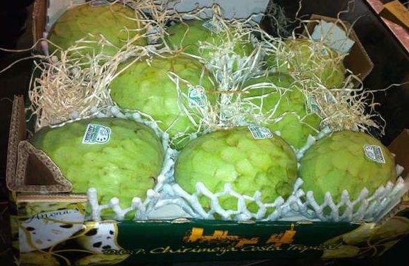 Chirimoyas: Catálogo de FRUTAS PAULA Chirimoyas: Catálogo de FRUTAS PAULA