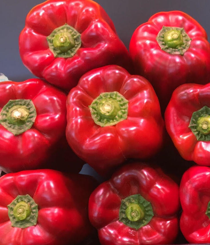 Pimiento rojo gordo: Catálogo de FRUTAS PAULA Pimiento rojo gordo: Catálogo de FRUTAS PAULA