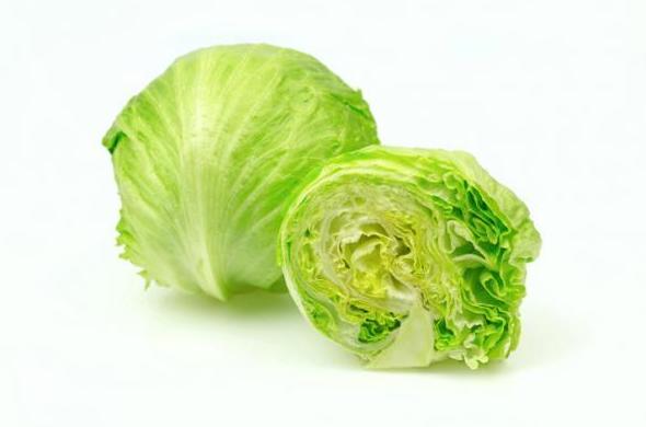 lechuga iceberg lechuga iceberg