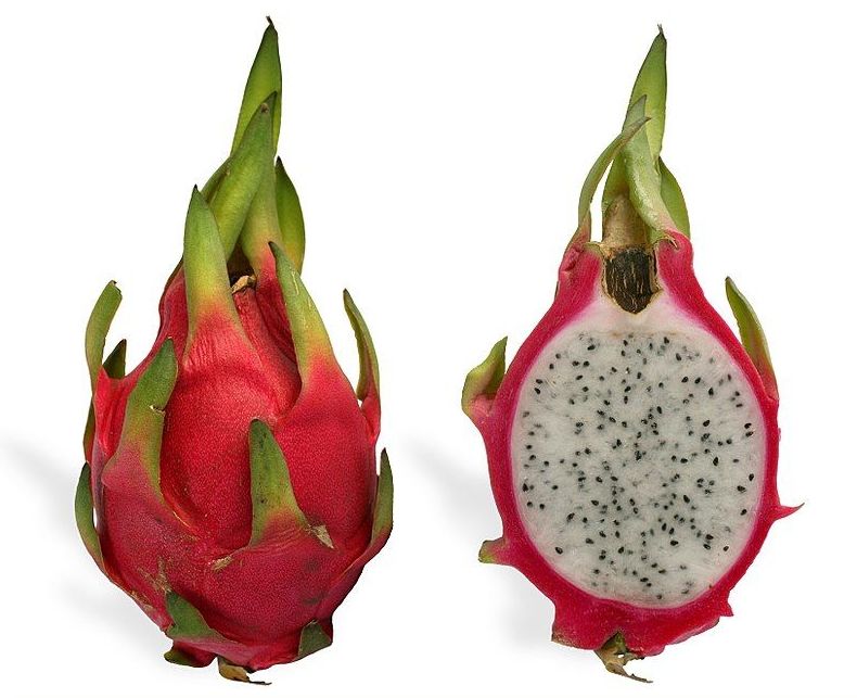 Pitaya Amarilla: Catálogo de FRUTAS PAULA Pitaya Amarilla: Catálogo de FRUTAS PAULA