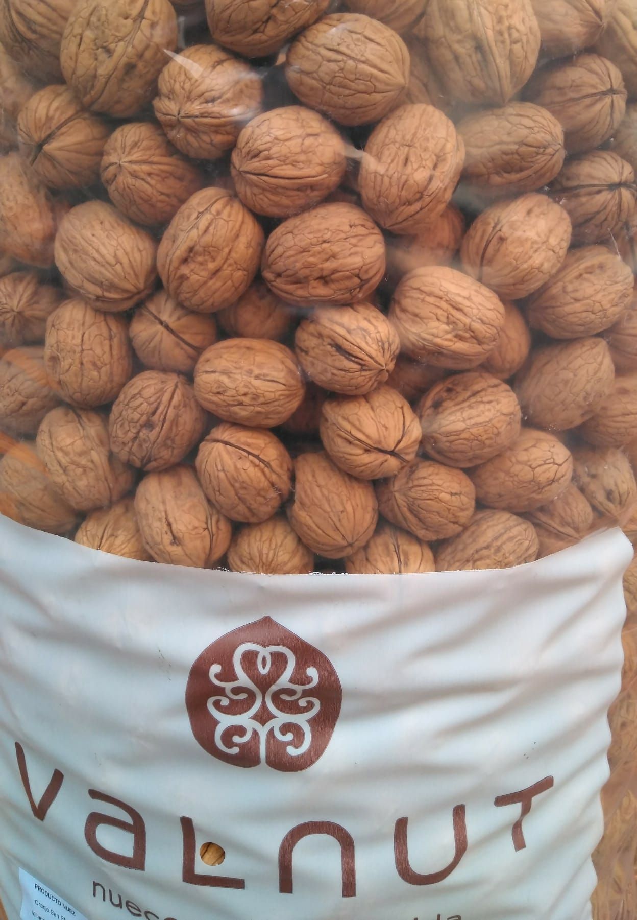 Nueces Nueces
