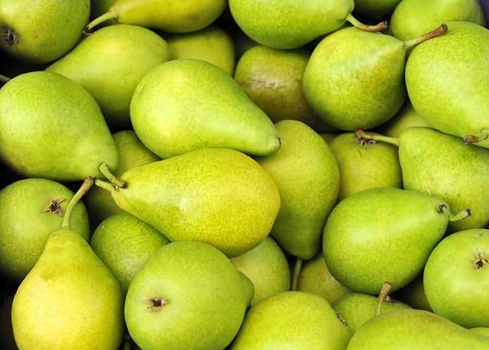 Pera Ercolina: Catálogo de FRUTAS PAULA Pera Ercolina: Catálogo de FRUTAS PAULA