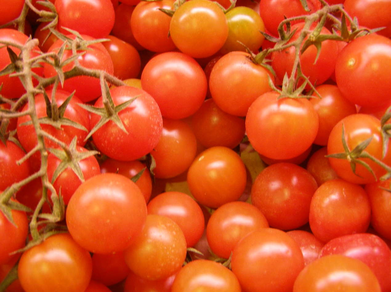 Tomate Cherry Tomate Cherry