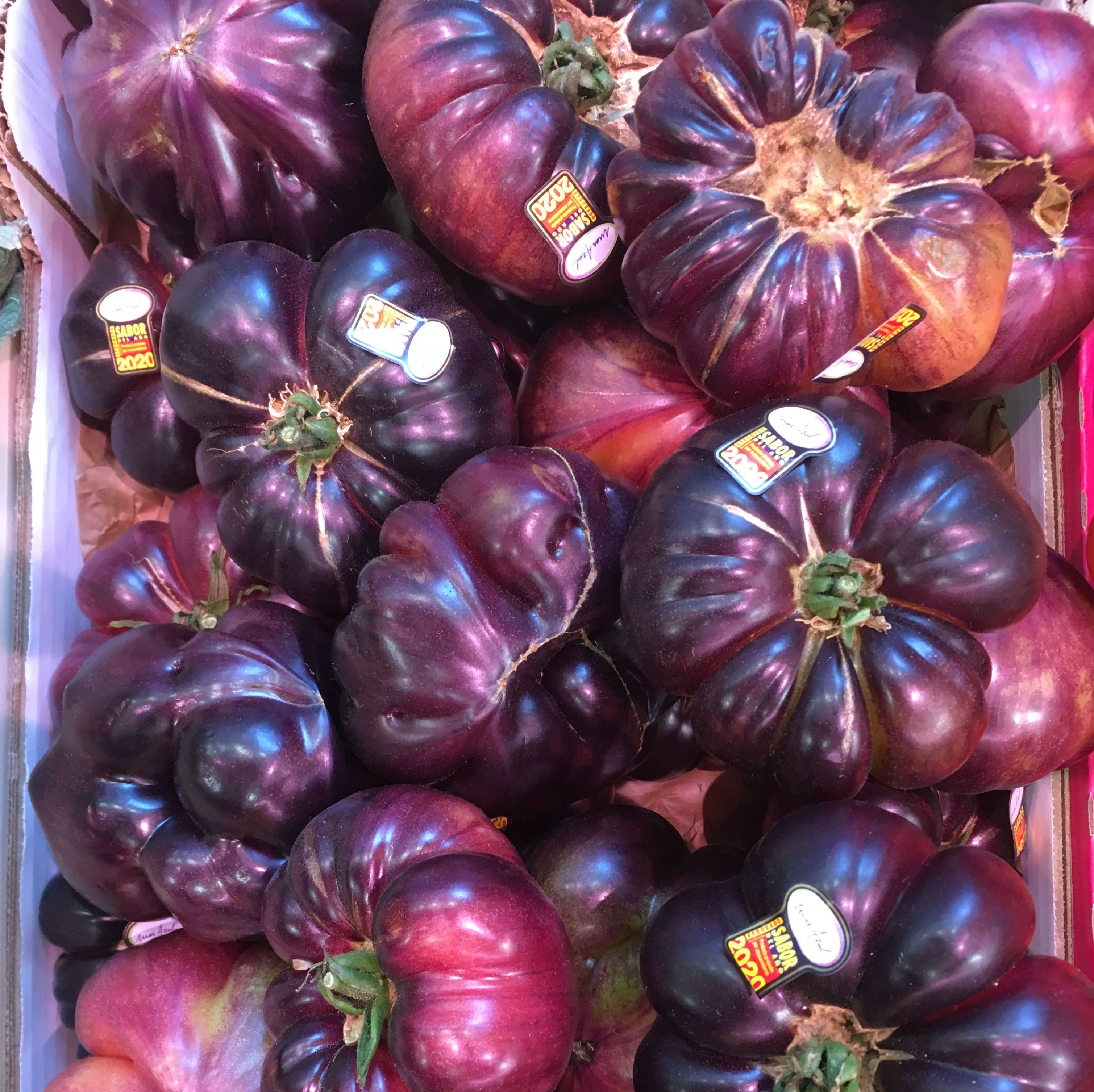 Tomate azul: Catálogo de FRUTAS PAULA Tomate azul: Catálogo de FRUTAS PAULA