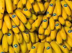Plátano: Catálogo de FRUTAS PAULA Plátano: Catálogo de FRUTAS PAULA