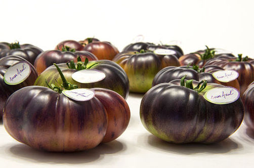 Tomate azul: Catálogo de FRUTAS PAULA Tomate azul: Catálogo de FRUTAS PAULA