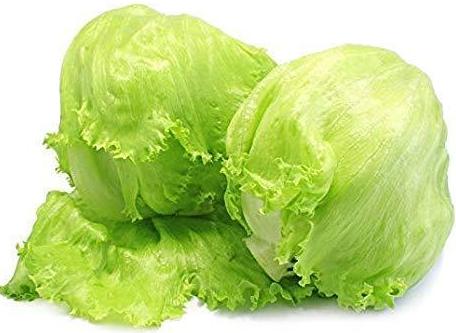Lechuga Iceberg: Catálogo de FRUTAS PAULA Lechuga Iceberg: Catálogo de FRUTAS PAULA