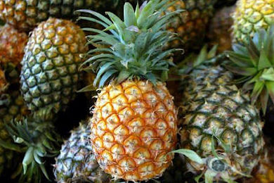 Piña tropical: Catálogo de FRUTAS PAULA Piña tropical: Catálogo de FRUTAS PAULA