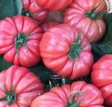 Tomate rosa: Catálogo de FRUTAS PAULA Tomate rosa: Catálogo de FRUTAS PAULA