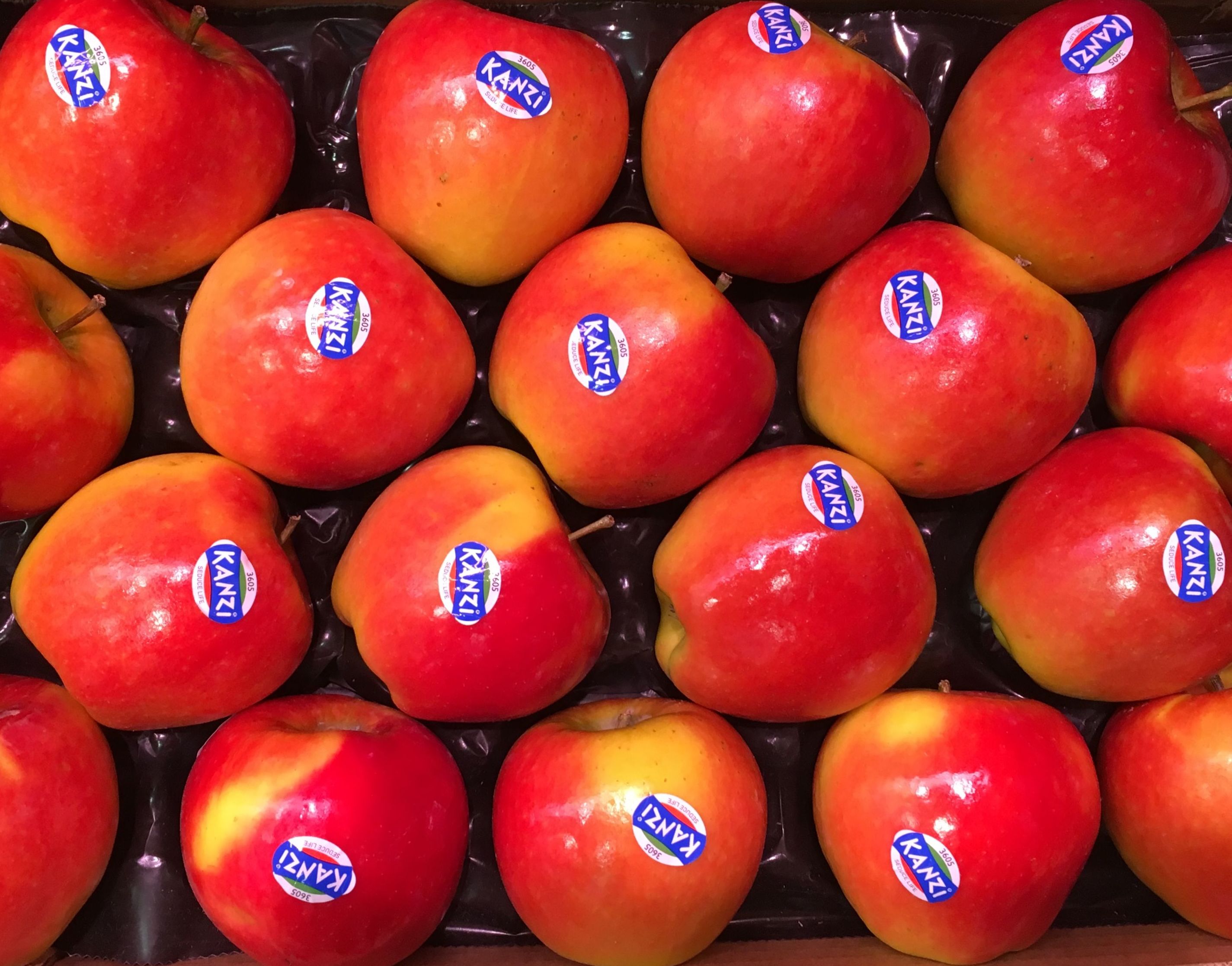 Manzana Kanzi Manzana Kanzi