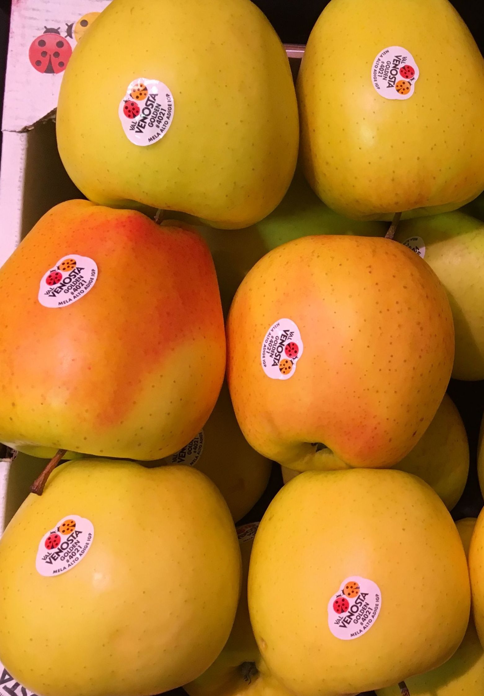 Manzana Golden Manzana Golden
