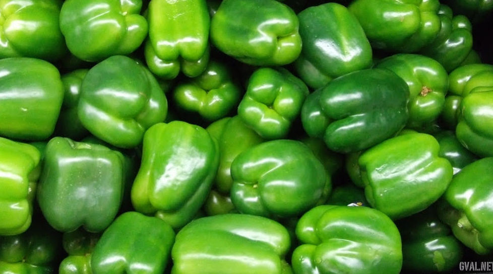 Pimiento gordo verde. Pimiento gordo verde.