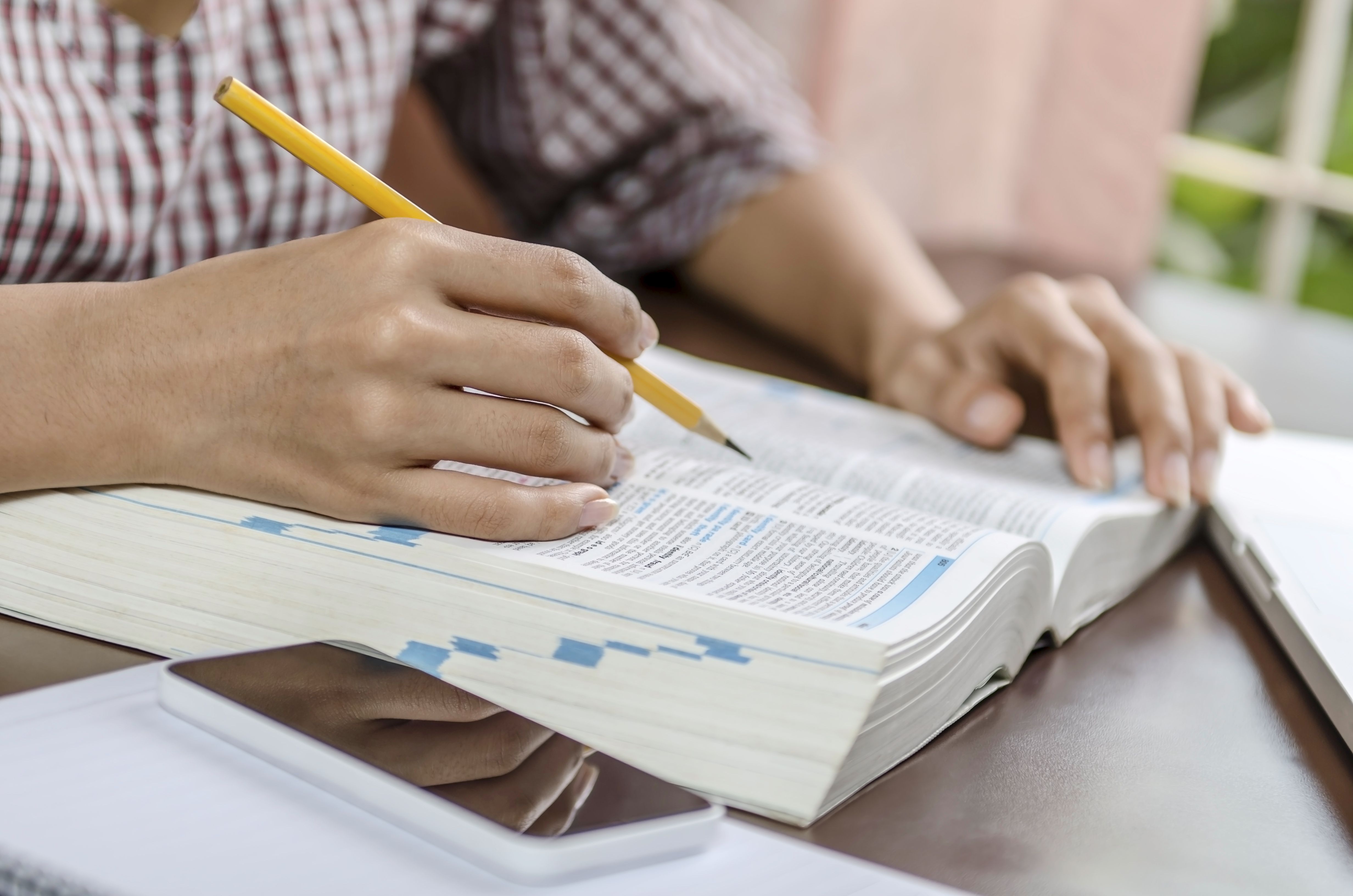 Apoyo escolar a primaria, Eso y bachillerato: Servicios de Academia Iowa Apoyo escolar a primaria, Eso y bachillerato: Servicios de Academia Iowa