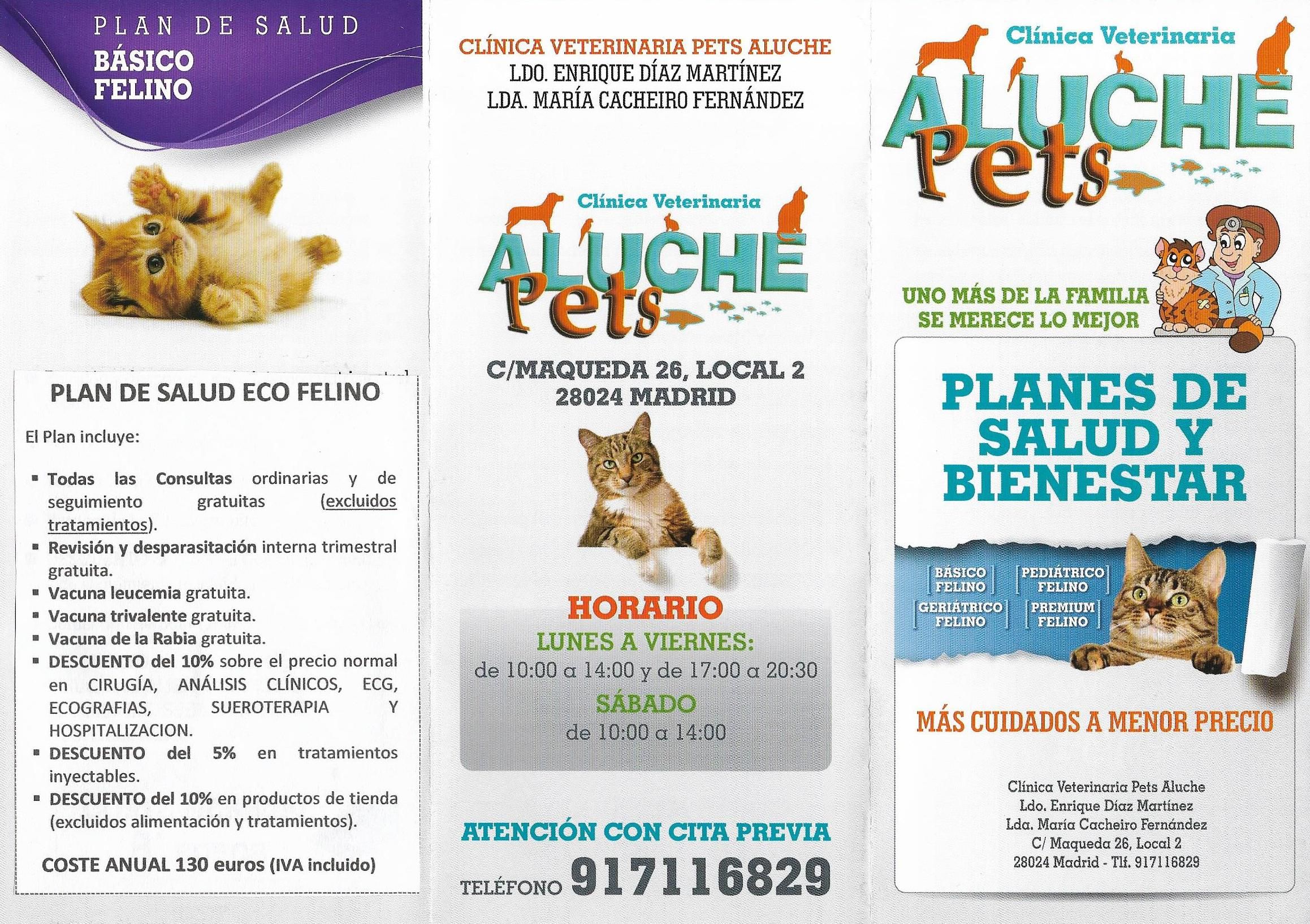 Planes veterinarios para gatos Planes veterinarios para gatos