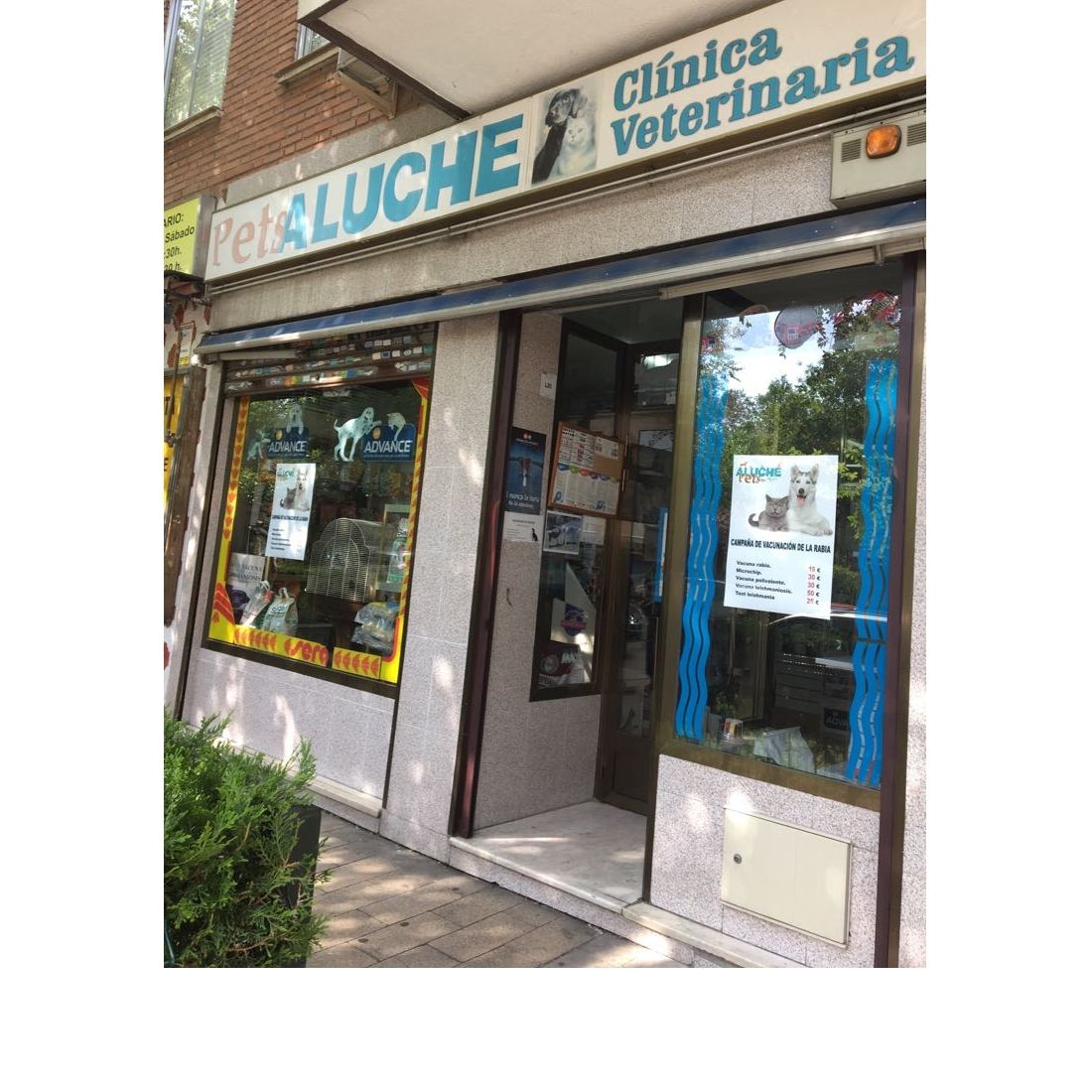 Clínica veterinaria: Servicios de Pets Aluche Clínica veterinaria: Servicios de Pets Aluche