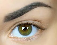 Microshading de cejas (sombreado): Servicios de C. López Microshading de cejas (sombreado): Servicios de C. López
