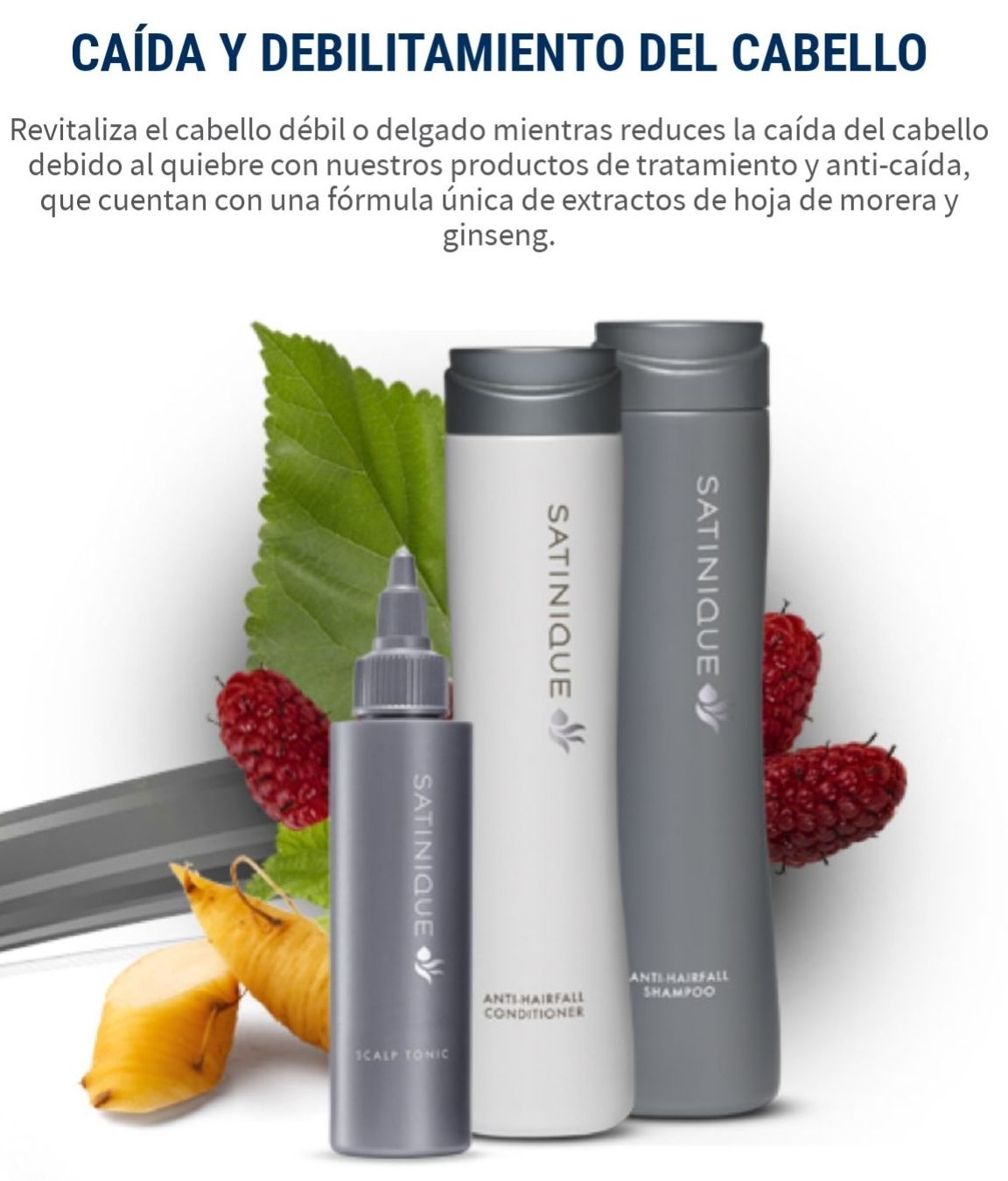 Caída y Debilitamiento del cabello.: Servicios de C. López Caída y Debilitamiento del cabello.: Servicios de C. López