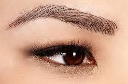 Curso. Micropigmentación Microblading: Servicios de C. López Curso. Micropigmentación Microblading: Servicios de C. López