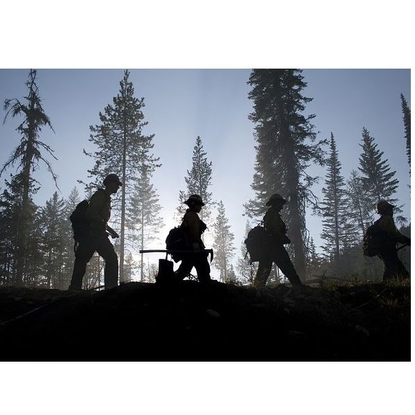 Tratamientos selvícolas : Servicios de Explotaciones Forestales Lagarcía Tratamientos selvícolas : Servicios de Explotaciones Forestales Lagarcía