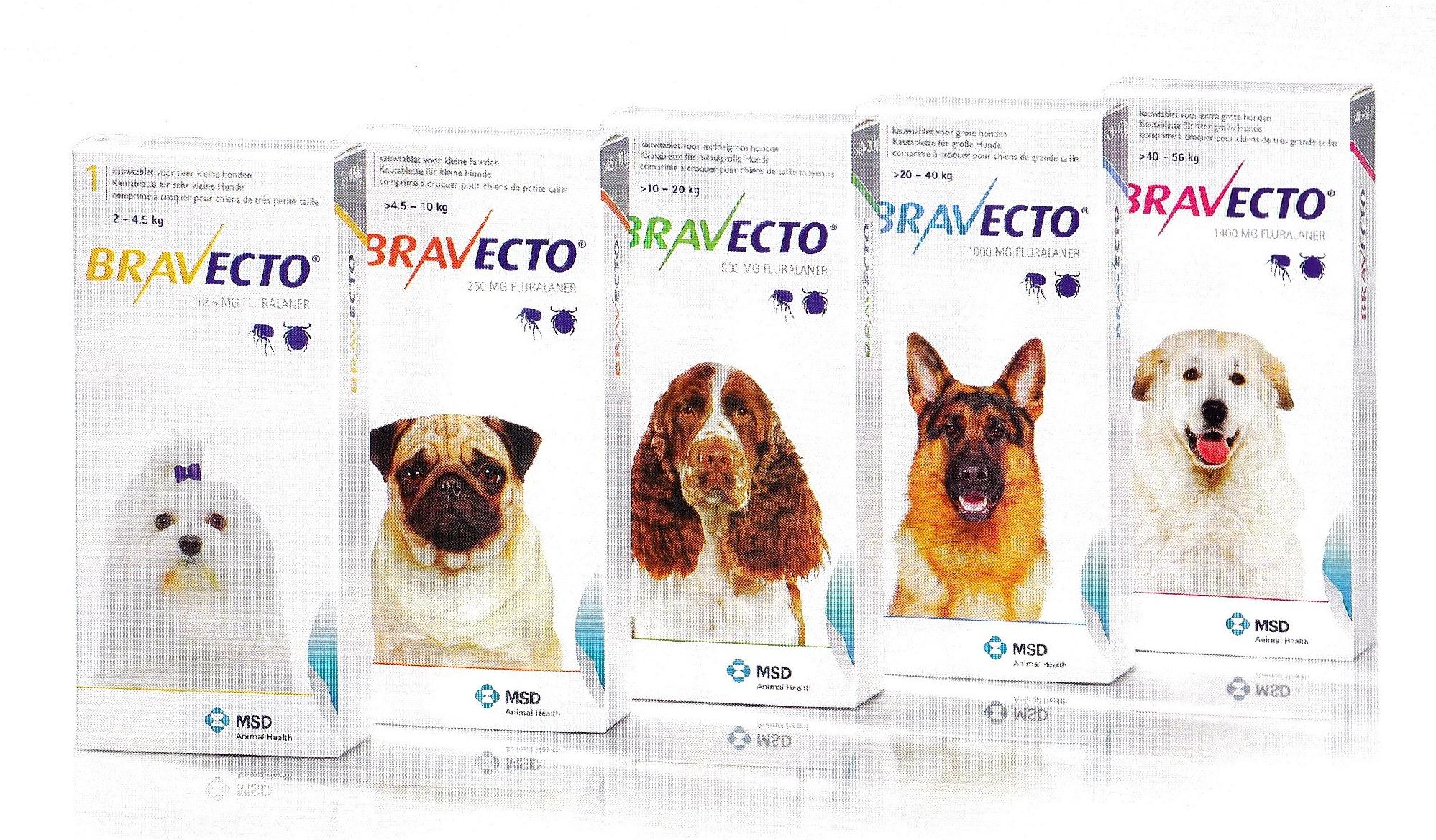 ANTIPARASITARIOS EXTERNOS: SERVICIOS de Clínica Veterinaria Godelleta ANTIPARASITARIOS EXTERNOS: SERVICIOS de Clínica Veterinaria Godelleta