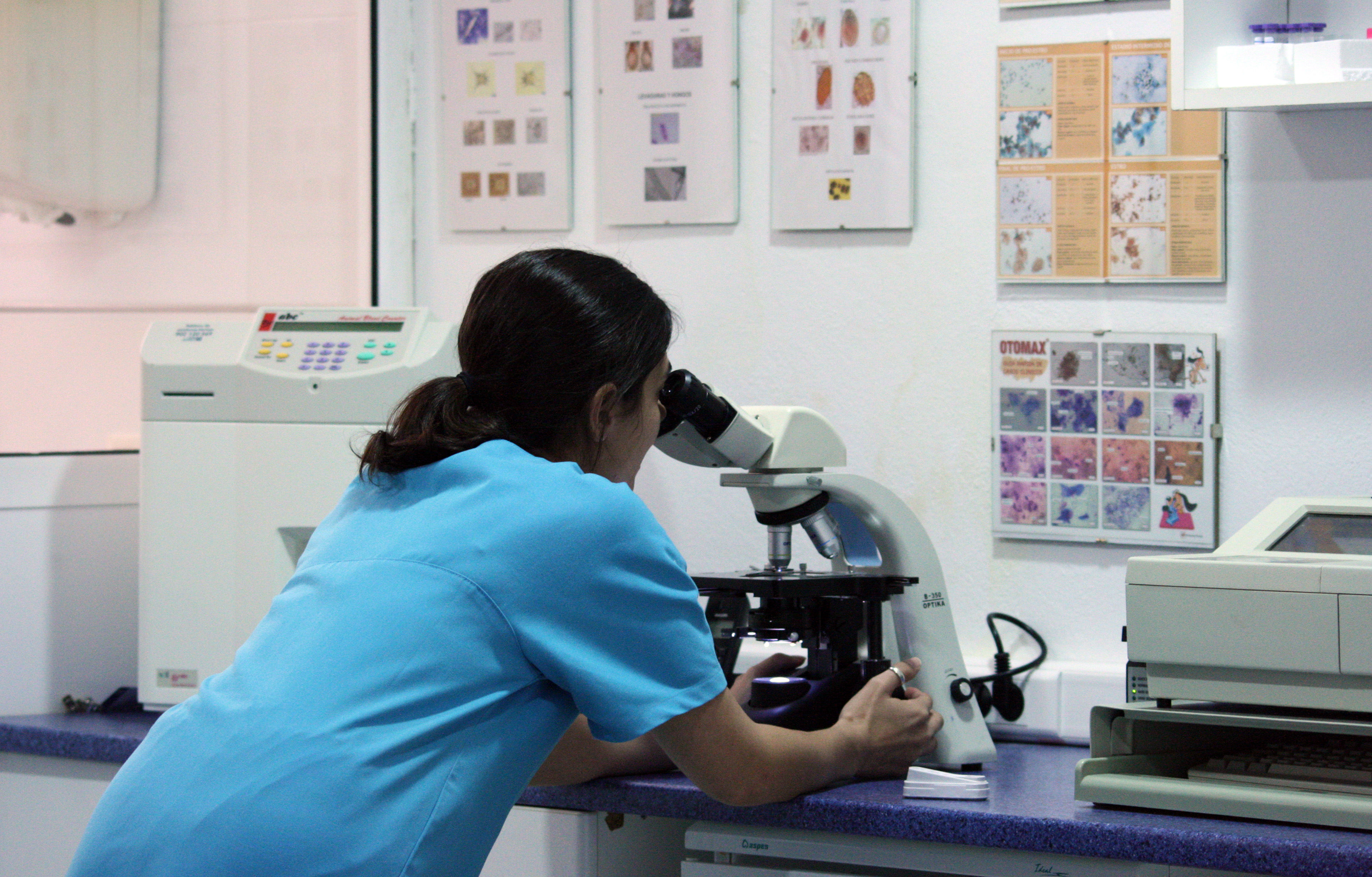 ANALITICAS: SERVICIOS de Clínica Veterinaria Godelleta ANALITICAS: SERVICIOS de Clínica Veterinaria Godelleta