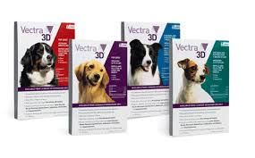 ANTIPARASITARIOS EXTERNOS: SERVICIOS de Clínica Veterinaria Godelleta ANTIPARASITARIOS EXTERNOS: SERVICIOS de Clínica Veterinaria Godelleta
