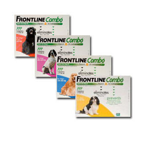ANTIPARASITARIOS EXTERNOS: SERVICIOS de Clínica Veterinaria Godelleta ANTIPARASITARIOS EXTERNOS: SERVICIOS de Clínica Veterinaria Godelleta