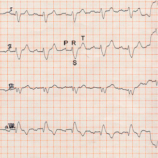 CONSULTA CARDIOLOGÍA: SERVICIOS de Clínica Veterinaria Godelleta CONSULTA CARDIOLOGÍA: SERVICIOS de Clínica Veterinaria Godelleta