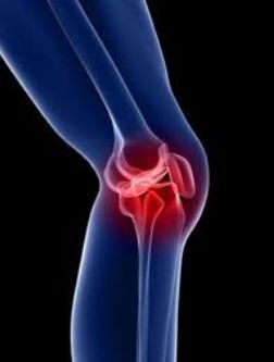 Traumatología: Especialidades de Centre Mèdic Avinguda Traumatología: Especialidades de Centre Mèdic Avinguda
