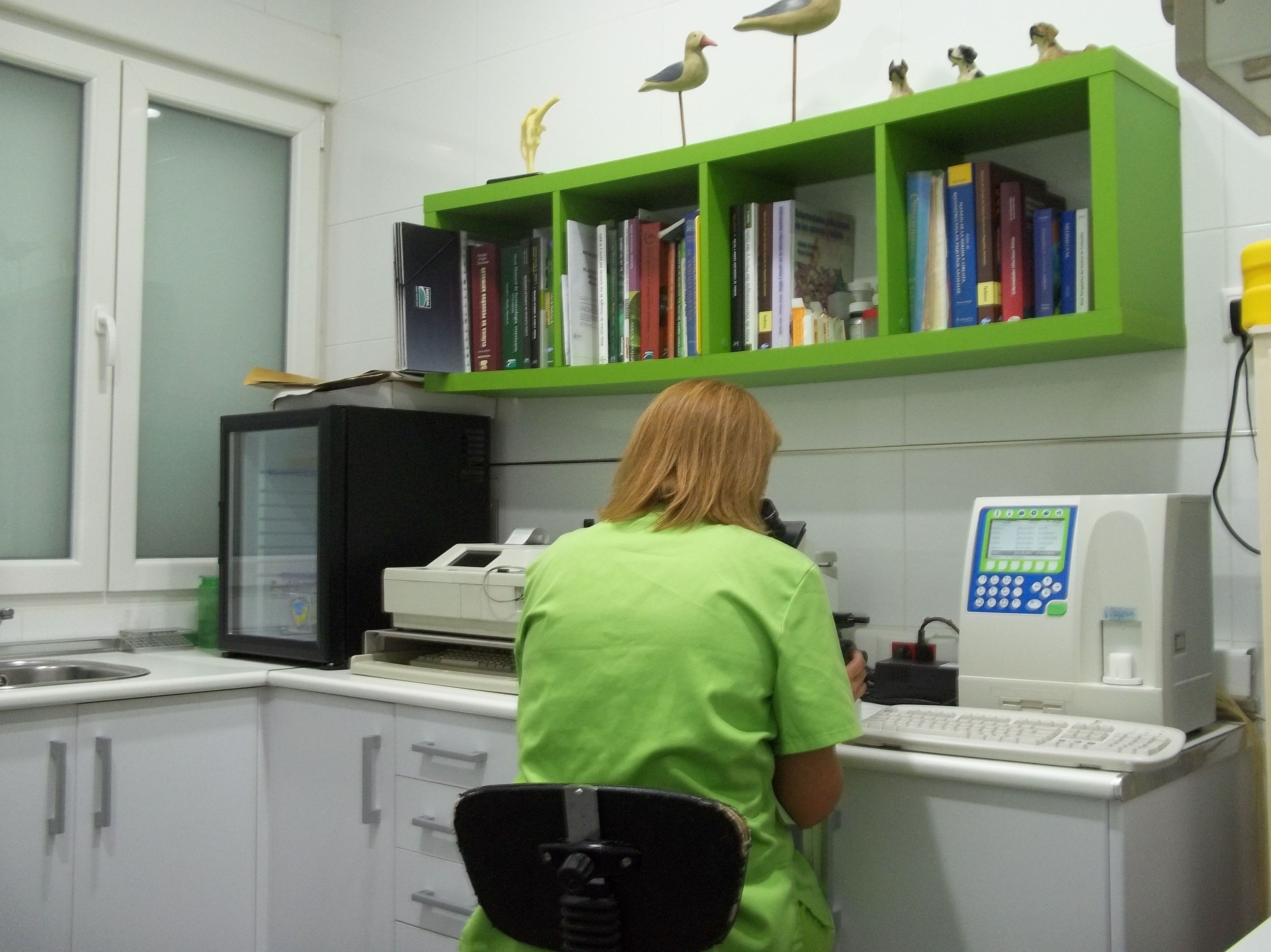 Especialidades veterinarias: Servicios de Clínica Veterinaria Llíria Especialidades veterinarias: Servicios de Clínica Veterinaria Llíria