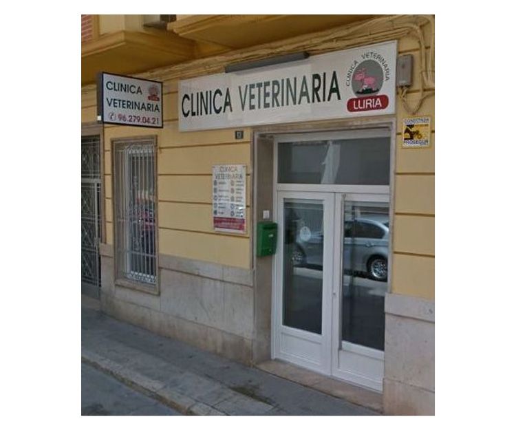 Laboratorio propio de análisis clínicos: Servicios de Clínica Veterinaria Llíria Laboratorio propio de análisis clínicos: Servicios de Clínica Veterinaria Llíria