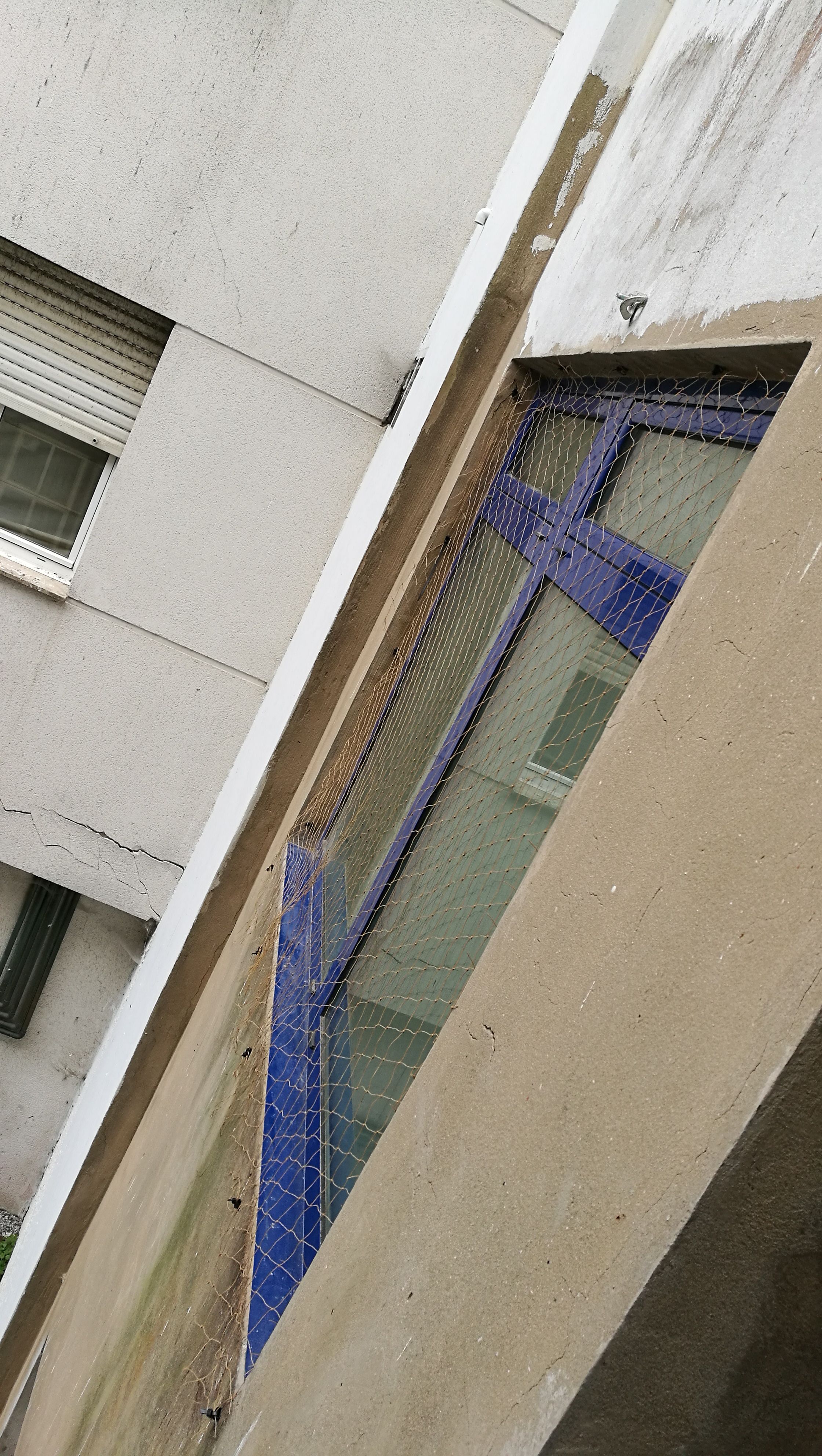 Colocación de redes anti aves: Servicios de ANTON DOREL LIVIU Colocación de redes anti aves: Servicios de ANTON DOREL LIVIU