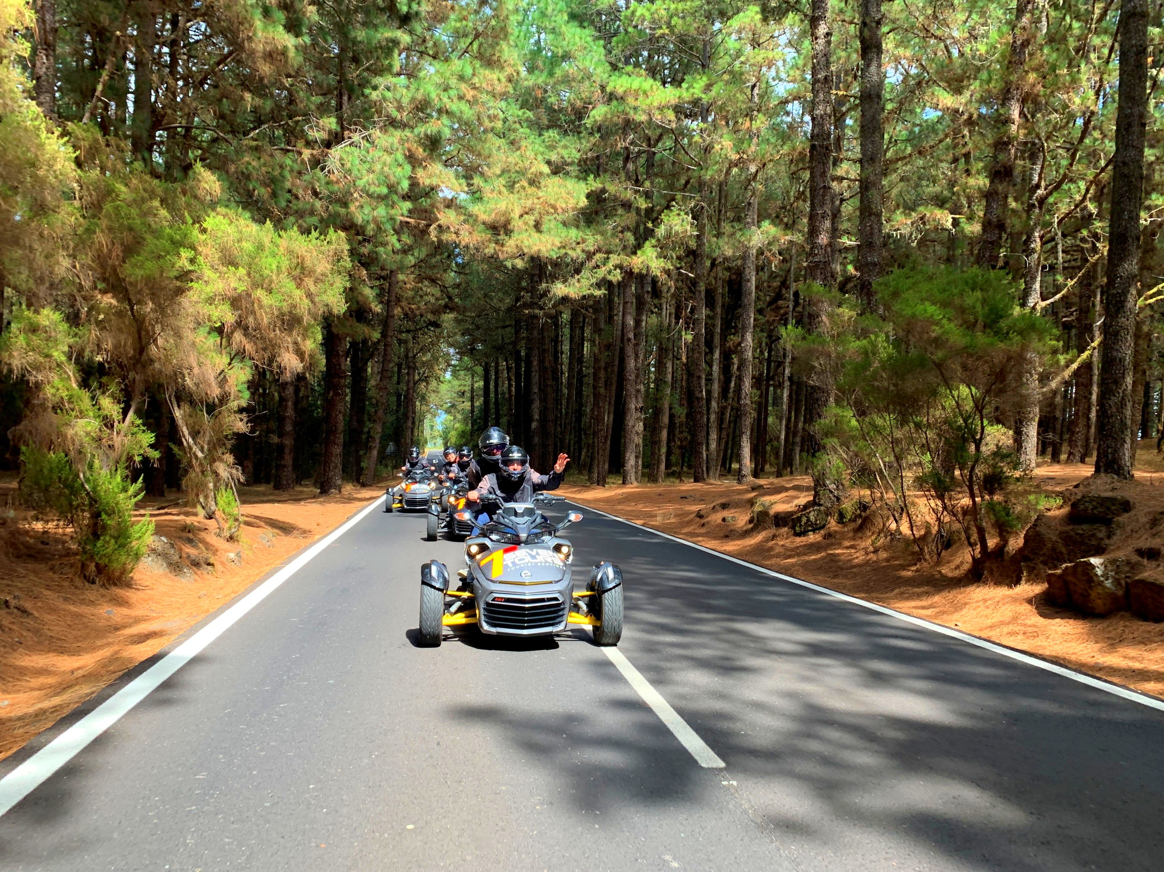 Excursion al Teide: Nuestros Tours de Seven Tours Excursion al Teide: Nuestros Tours de Seven Tours