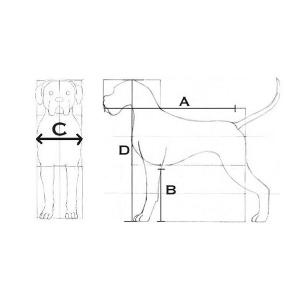 Elegir transportin: Productos y Servicios de Narval Mascotas Elegir transportin: Productos y Servicios de Narval Mascotas