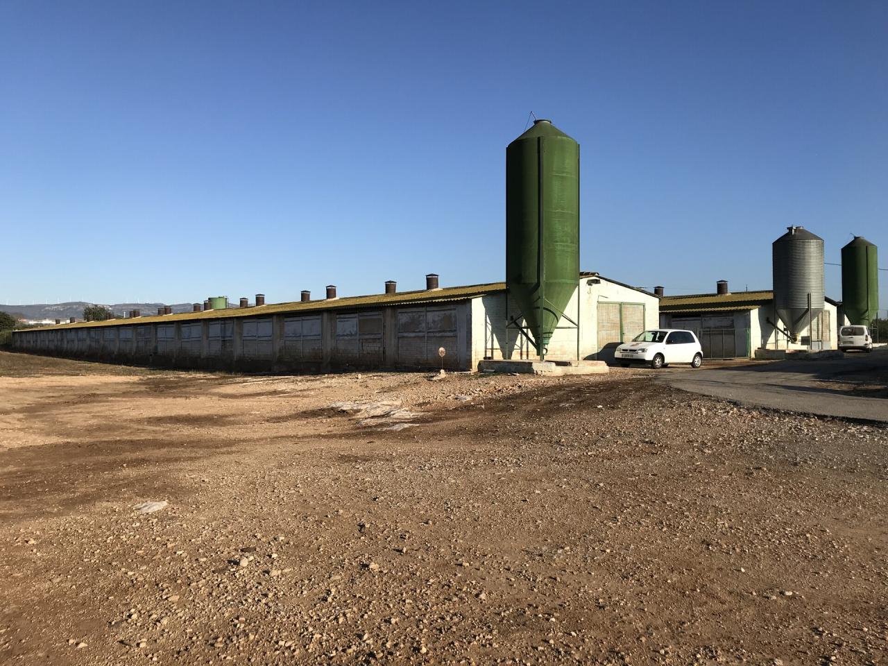 L'Aldea - Terreno Industrial en Traspaso - Exp:19051: Inmuebles de Fincas Baix Ebre L'Aldea - Terreno Industrial en Traspaso - Exp:19051: Inmuebles de Fincas Baix Ebre