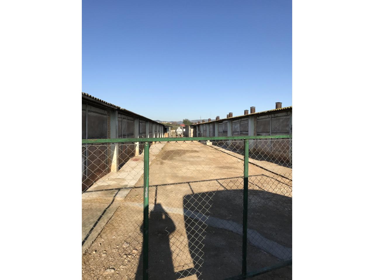 L'Aldea - Terreno Industrial en Traspaso - Exp:19051: Inmuebles de Fincas Baix Ebre L'Aldea - Terreno Industrial en Traspaso - Exp:19051: Inmuebles de Fincas Baix Ebre