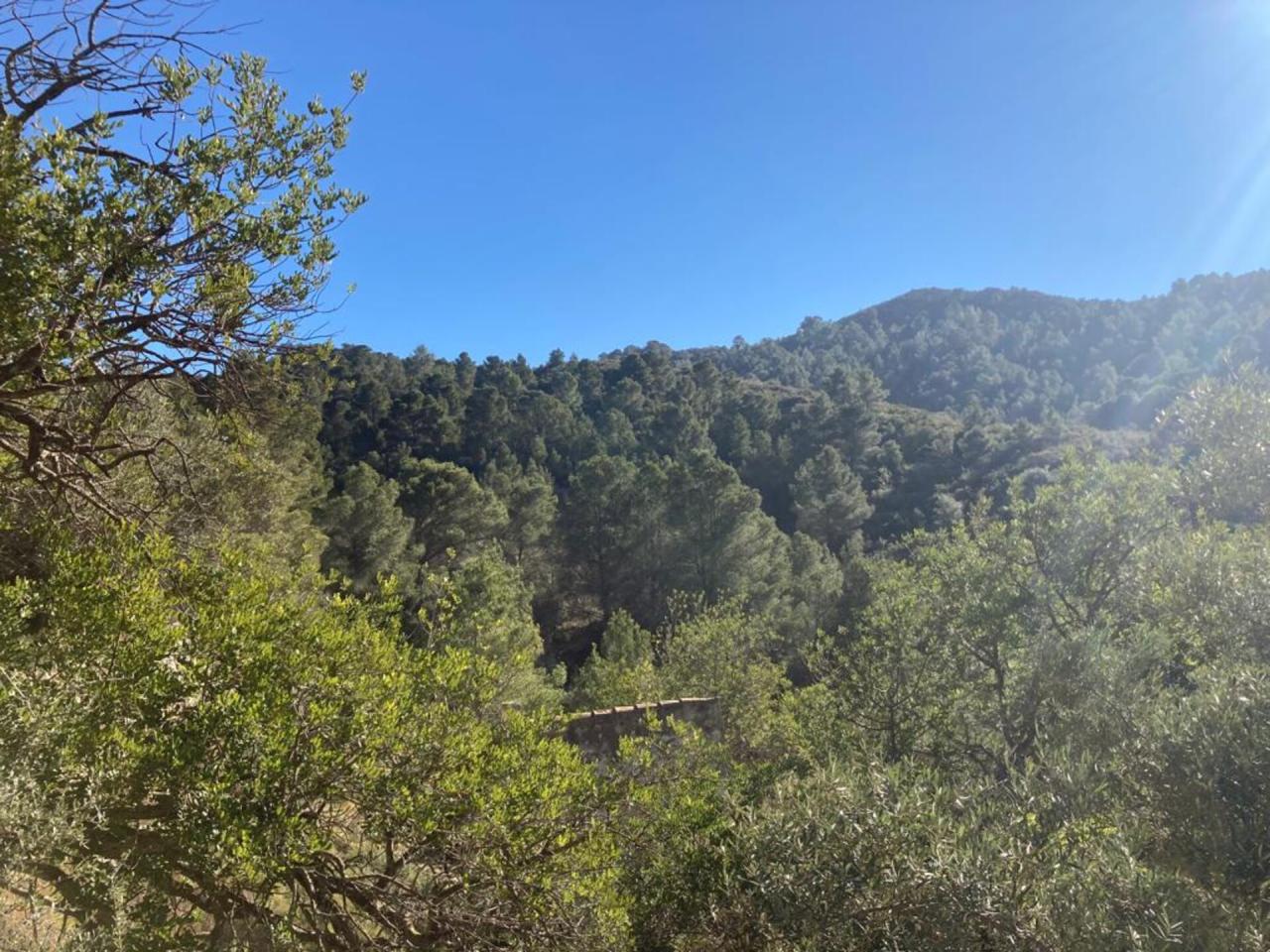 Tortosa Sant Llàtzer - Finca Rústica en Venta - Exp:17151: Inmuebles de Fincas Baix Ebre Tortosa Sant Llàtzer - Finca Rústica en Venta - Exp:17151: Inmuebles de Fincas Baix Ebre