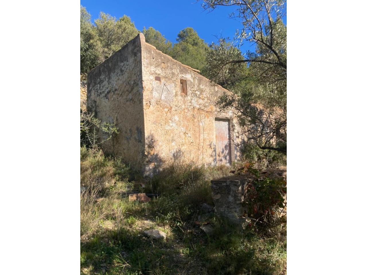 Tortosa Sant Llàtzer - Finca Rústica en Venta - Exp:17151: Inmuebles de Fincas Baix Ebre Tortosa Sant Llàtzer - Finca Rústica en Venta - Exp:17151: Inmuebles de Fincas Baix Ebre
