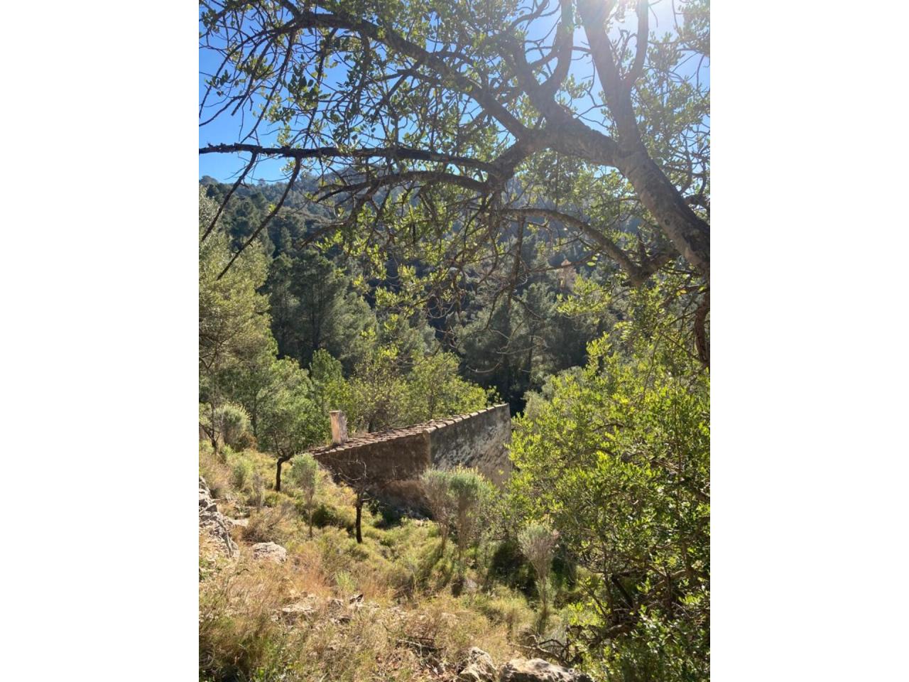 Tortosa Sant Llàtzer - Finca Rústica en Venta - Exp:17151: Inmuebles de Fincas Baix Ebre Tortosa Sant Llàtzer - Finca Rústica en Venta - Exp:17151: Inmuebles de Fincas Baix Ebre
