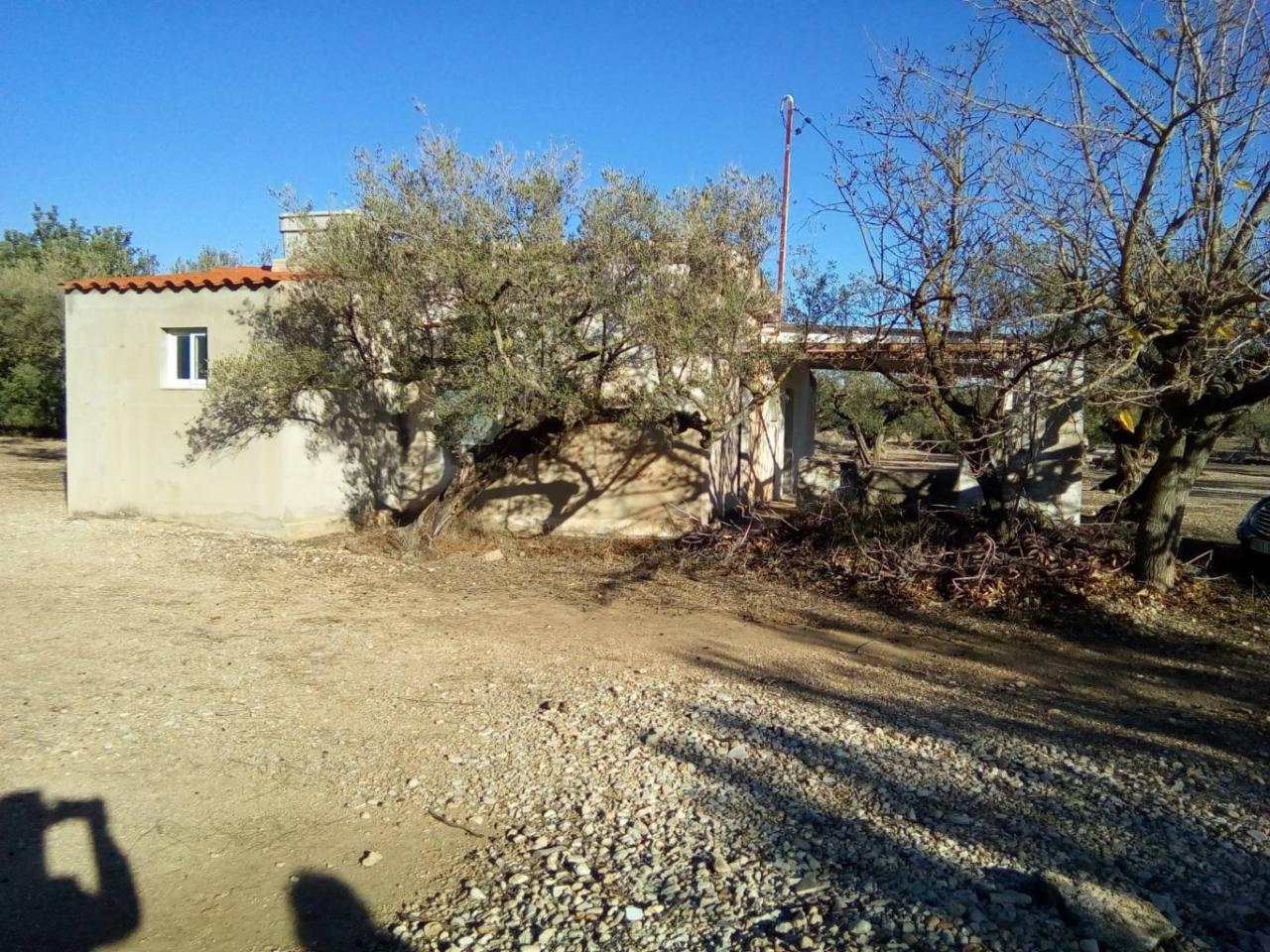 Roquetes Raval de Crist - Finca Rústica en Venta - Exp:17006: Inmuebles de Fincas Baix Ebre Roquetes Raval de Crist - Finca Rústica en Venta - Exp:17006: Inmuebles de Fincas Baix Ebre