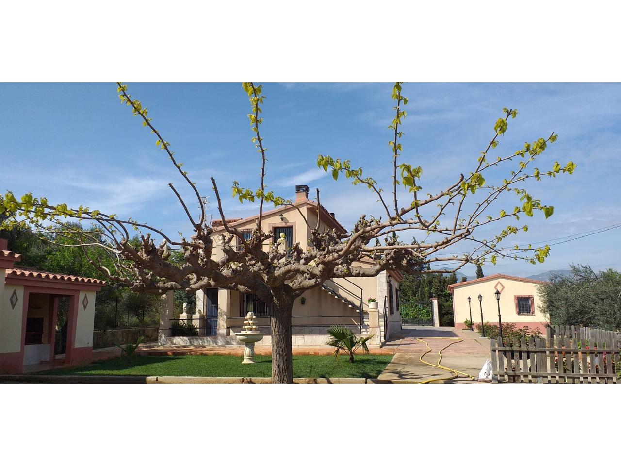 Roquetes Paratge Colomar - Chalet en Venta - Exp:13333: Inmuebles de Fincas Baix Ebre Roquetes Paratge Colomar - Chalet en Venta - Exp:13333: Inmuebles de Fincas Baix Ebre