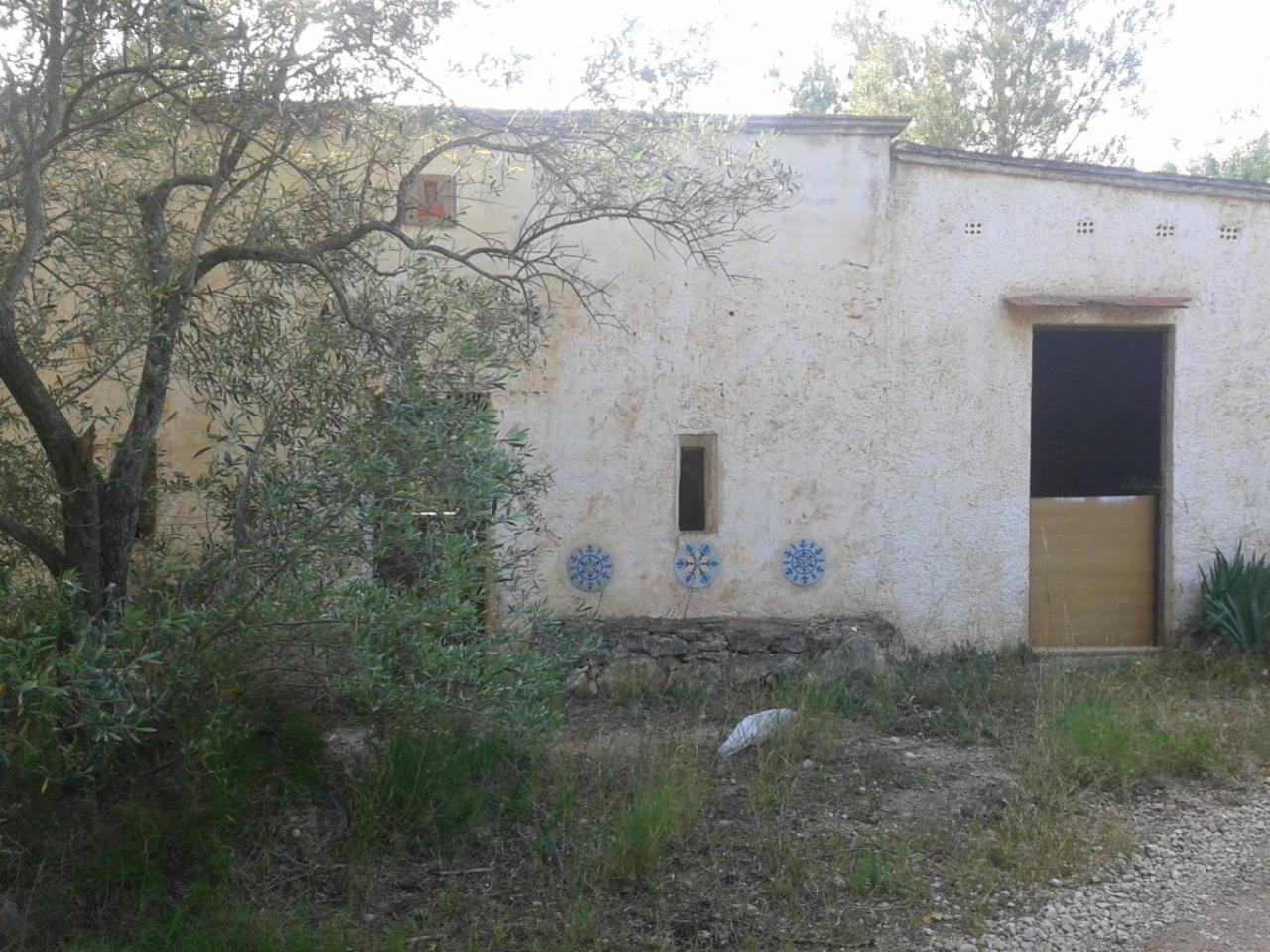 Roquetes Clot de l'Olivera - Finca Rústica en Venta - Exp:17084: Inmuebles de Fincas Baix Ebre Roquetes Clot de l'Olivera - Finca Rústica en Venta - Exp:17084: Inmuebles de Fincas Baix Ebre