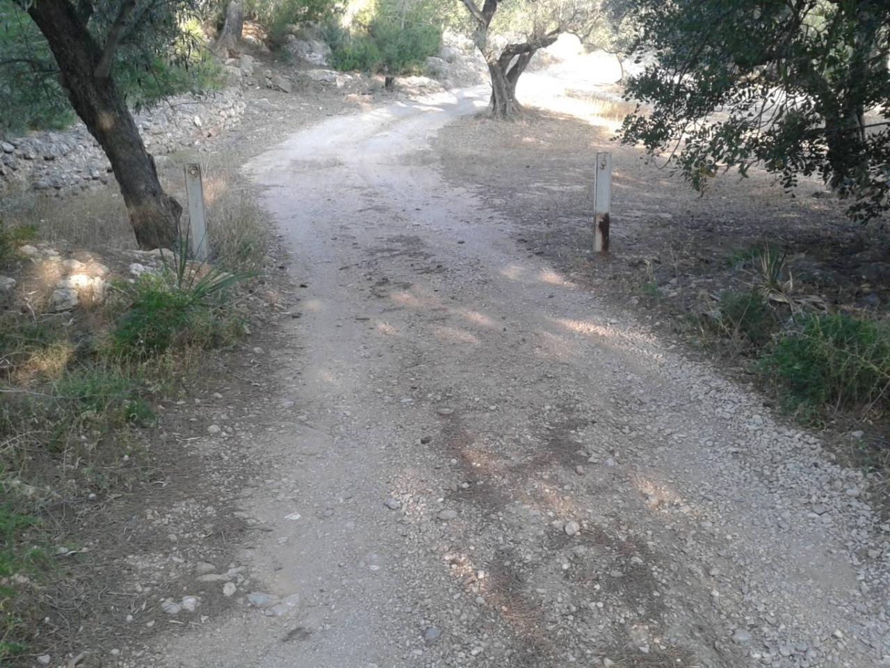 Roquetes Clot de l'Olivera - Finca Rústica en Venta - Exp:17084: Inmuebles de Fincas Baix Ebre Roquetes Clot de l'Olivera - Finca Rústica en Venta - Exp:17084: Inmuebles de Fincas Baix Ebre