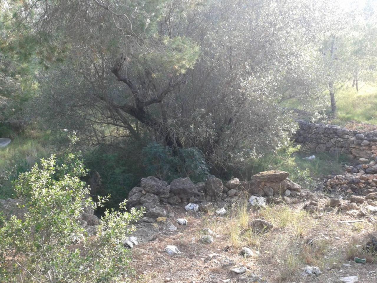 Roquetes Clot de l'Olivera - Finca Rústica en Venta - Exp:17084: Inmuebles de Fincas Baix Ebre Roquetes Clot de l'Olivera - Finca Rústica en Venta - Exp:17084: Inmuebles de Fincas Baix Ebre