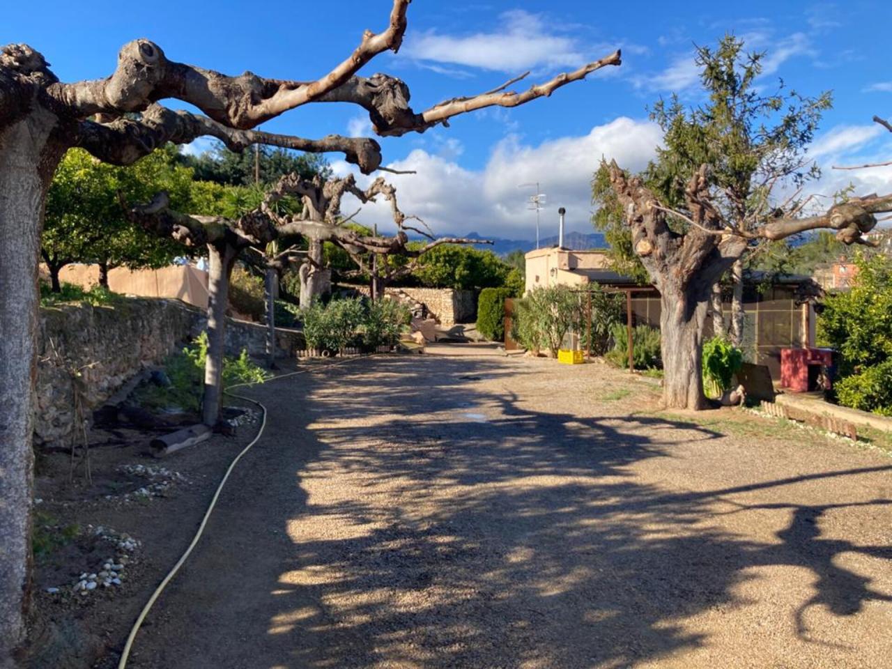Jesús Sant Bernabé - Casa + 3 Fincas en Venta - Exp:17053: Inmuebles de Fincas Baix Ebre Jesús Sant Bernabé - Casa + 3 Fincas en Venta - Exp:17053: Inmuebles de Fincas Baix Ebre