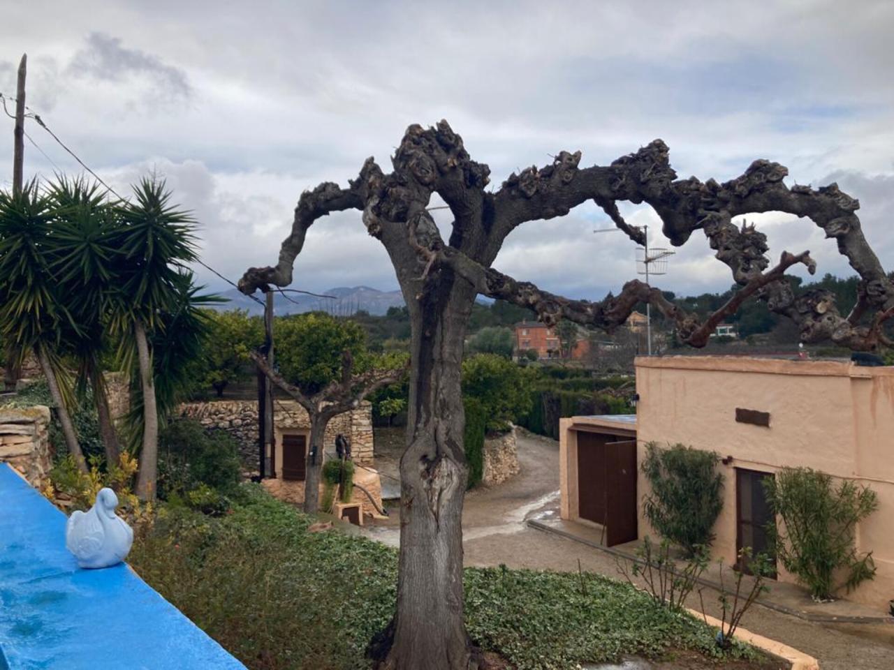 Jesús Sant Bernabé - Casa + 3 Fincas en Venta - Exp:17053: Inmuebles de Fincas Baix Ebre Jesús Sant Bernabé - Casa + 3 Fincas en Venta - Exp:17053: Inmuebles de Fincas Baix Ebre