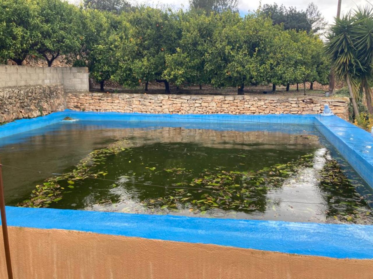 Jesús Sant Bernabé - Casa + 3 Fincas en Venta - Exp:17053: Inmuebles de Fincas Baix Ebre Jesús Sant Bernabé - Casa + 3 Fincas en Venta - Exp:17053: Inmuebles de Fincas Baix Ebre